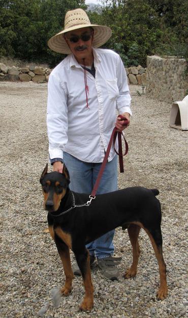 doberman and little paws rescue